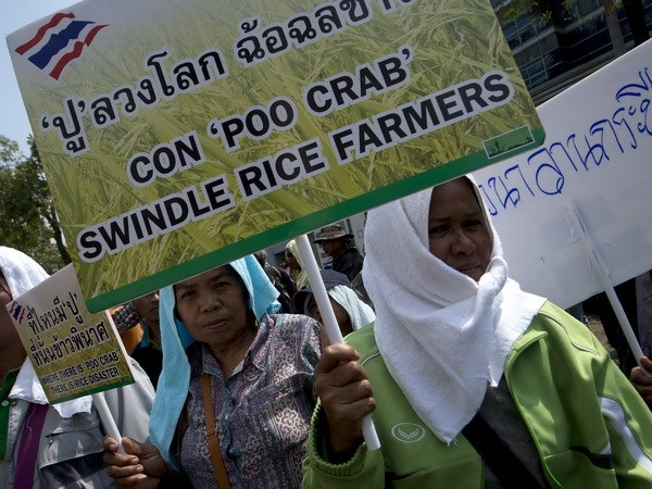 ชาวนาไทยกว่า 1 พันคนเดินทางเข้ากรุงเทพฯเพื่อเข้าร่วมการชุมนุม